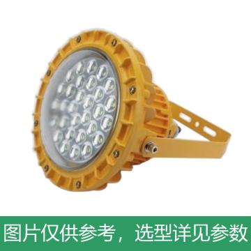 永鑫瑞 LED泛光灯，120W白光，LED-RY-DFG-120W-C-HS，含U型支架，单位：个
