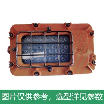 深圳海洋王 LED灯 DGC35/127L（A）LED灯 不含网罩，单位：个