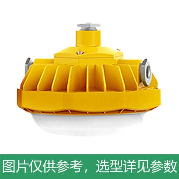 凯瑞 防爆平台灯，50W，白光，KLE1012-50W，吊杆式安装，不含吊杆，单位：个