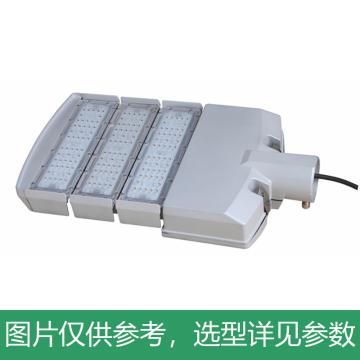 耀嵘照明 LED路灯，150W，白光，YR-ST295H-W150，3模组，安装口径60mm，单位：个