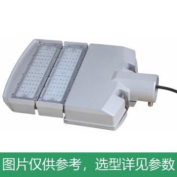 耀嵘照明 LED路灯，60W，白光，YR-ST295H-W60，2模组，安装口径60mm，单位：个