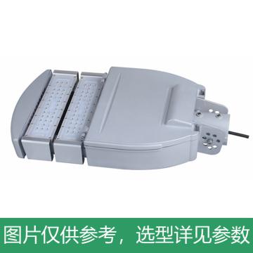 耀嵘照明 LED路灯，60W，白光，YR-ST300-W60，2模组，安装口径60mm，单位：个