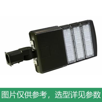 耀嵘照明 LED路灯，150W，白光，YR-PL290-W150，安装口径60mm，单位：个