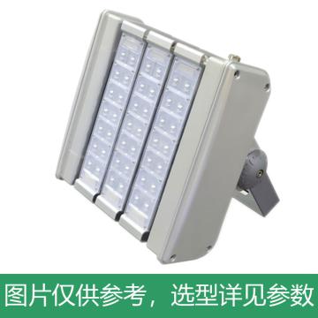 耀嵘照明 LED隧道灯，90W，白光，YR-TL300-W90，含U型支架，单位：个