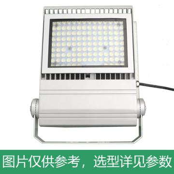 耀嵘照明 LED泛光灯，100W，白光，YR-FL330-W100，含U型支架，单位：个