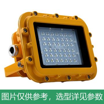 耀嵘照明 LED防爆泛光灯，50W，白光，YR-FB320-W50，含U型支架，单位：个