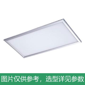 凯瑞 LED面板灯，48W，白光，KLM202-48W，尺寸300×1200mm，带裙边卡簧嵌入式，配吊绳，单位：个