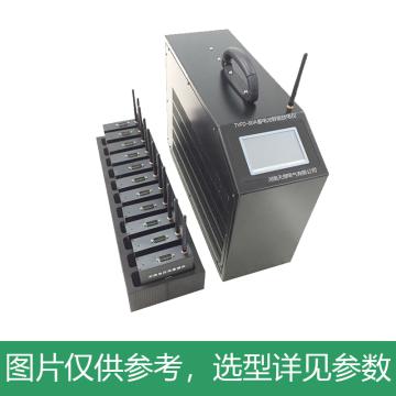 天煜 蓄电池智能放电仪，TYFD-80A-110220 售卖规格：1台
