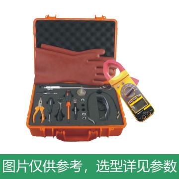 天煜 蓄电池维护工具，TYDWH-40A 售卖规格：1台