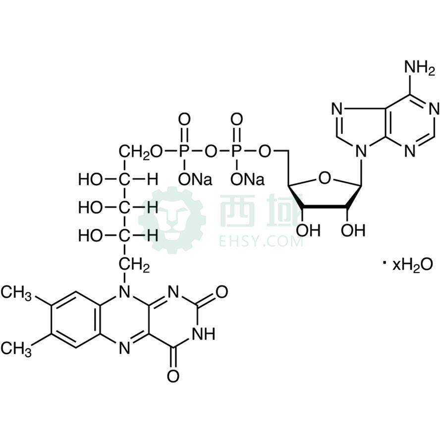 梯希爱/TCI 黄素腺嘌呤二核苷酸二钠盐 水合物，F0014-1G CAS:84366-81-4，94.0%，1G 售卖规格：1瓶