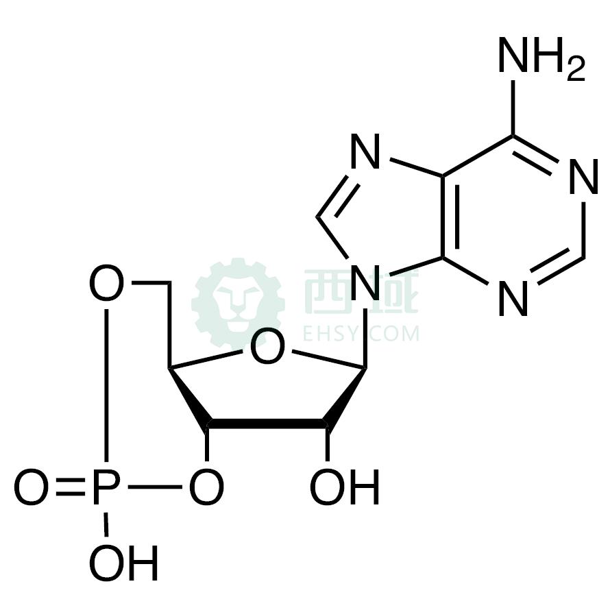 梯希爱/TCI 腺苷3',5'-环单磷酸，A2381-1G CAS:60-92-4，99.0%，1G 售卖规格：1瓶