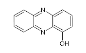 罗恩/Rhawn 1-羟基吩嗪，R050416-100mg CAS:528-71-2,95.0%(GC),100mg/瓶 售卖规格：1瓶