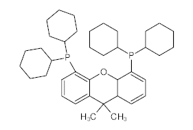 罗恩/Rhawn 4,5-双(二环己基膦)-二苯并吡喃衍生物，R048606-1g CAS:940934-47-4,98%,1g/瓶 售卖规格：1瓶