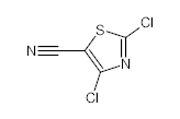 罗恩/Rhawn 2,4-二氯-5-氰基噻唑，R046946-1g CAS:82554-18-5,95%,1g/瓶 售卖规格：1瓶