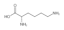 罗恩/Rhawn 聚赖氨酸，R033877-5g CAS:25104-18-1，95%，5g/瓶 售卖规格：1瓶