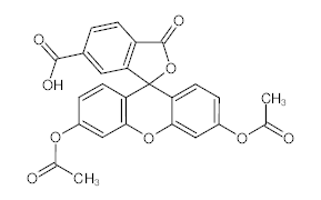 罗恩/Rhawn 6-羧基荧光素二乙酸酯，R032271-25mg CAS:3348-03-6，95%，25mg/瓶 售卖规格：1瓶
