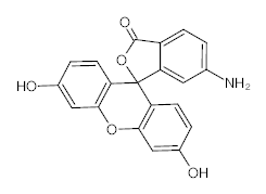 罗恩/Rhawn 6-氨基荧光素，R031841-1g CAS:51649-83-3，97%，1g/瓶 售卖规格：1瓶