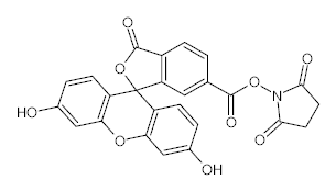 罗恩/Rhawn 6-羧基荧光素琥珀酰亚胺酯，R031453-10mg CAS:92557-81-8，荧光试剂，10mg/瓶 售卖规格：1瓶