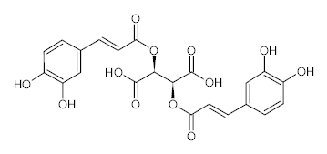 罗恩/Rhawn 菊苣酸，R030603-20mg CAS:70831-56-0，98%（分析标准试剂），20mg/瓶 售卖规格：1瓶