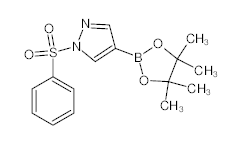 罗恩/Rhawn 1-苯磺酰-1H-吡唑-4-硼酸频哪酯，R030000-250mg CAS:1073372-04-9，97%，250mg/瓶 售卖规格：1瓶