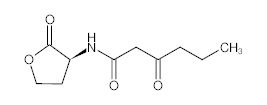 罗恩/Rhawn N-3-氧-己酰高丝氨酸内酯，R028581-10mg CAS:143537-62-6，98%，10mg/瓶 售卖规格：1瓶