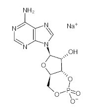 罗恩/Rhawn 腺苷-3'',5''-环状单磷酸钠水合物，R026408-25mg CAS:37839-81-9，99%，25mg/瓶 售卖规格：1瓶