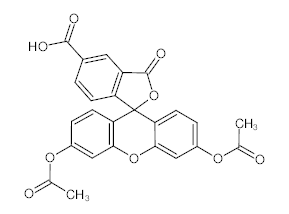 罗恩/Rhawn 5- 羧基荧光素二乙酸酯，R024759-25mg CAS:79955-27-4，95%，25mg/瓶 售卖规格：1瓶