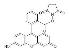 罗恩/Rhawn 5(6)-羧基荧光素琥珀酰亚胺酯，R024640-100mg CAS:117548-22-8，96%（异构体混合物试剂），100mg/瓶 售卖规格：1瓶
