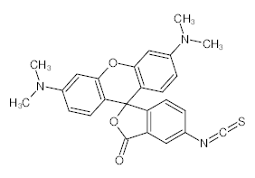 罗恩/Rhawn 四甲基罗丹明-5(6)-异硫氰酸酯，R022956-5mg CAS:95197-95-8，用于荧光,异构体混合物，5mg/瓶 售卖规格：1瓶