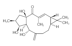 罗恩/Rhawn 千金子二萜醇，R021014-20mg CAS:34420-19-4，98%(HPLC)，20mg/瓶 售卖规格：1瓶