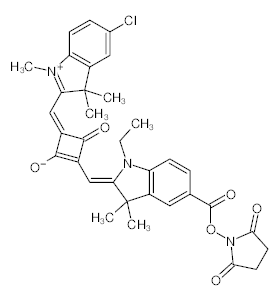 罗恩/Rhawn SQ-NHS，R020715-5mg CAS:154161-81-6，50%（荧光试剂），5mg/瓶 售卖规格：1瓶