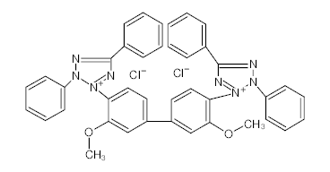 罗恩/Rhawn 四氮唑蓝，R020081-1g CAS:1871-22-3，95%，1g/瓶 售卖规格：1瓶