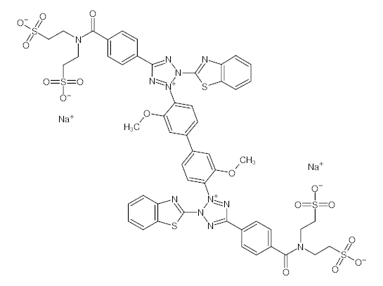 罗恩/Rhawn 水溶性四氮唑-5，R017719-10g CAS:178925-55-8，生物染色试剂，10g/瓶 售卖规格：1瓶