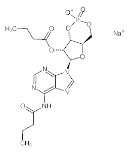 罗恩/Rhawn N6,2''-O-二丁酰基腺苷3'',5''-环磷酸 钠盐，R016592-5mg CAS:16980-89-5，97%，5mg/瓶 售卖规格：1瓶