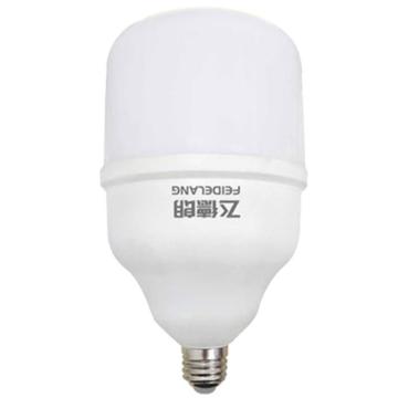飞德朗 球泡灯，苹果系列FDL-QPD105X-55W，白光，E27 售卖规格：1个