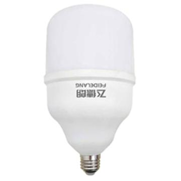 飞德朗 球泡灯，苹果系列FDL-QPD105X-45W，白光，E27 售卖规格：1个