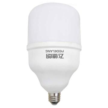 飞德朗 球泡灯，苹果系列FDL-QPD105X-20W，白光，E27 售卖规格：1个