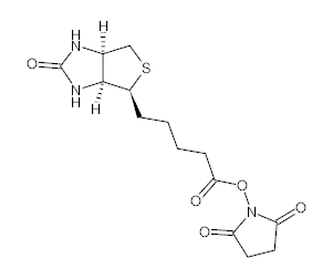 罗恩/Rhawn (+)生物素-N-琥珀酰亚胺基酯，R015207-250mg CAS:35013-72-0，98%，250mg/瓶 售卖规格：1瓶