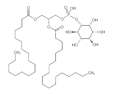 罗恩/Rhawn 磷脂酰肌醇，R014287-1g CAS:97281-52-2，50%，1g/瓶 售卖规格：1瓶