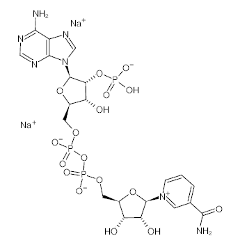 罗恩/Rhawn β-烟酰胺腺嘌呤二核苷酸磷酸二钠盐，R013427-100mg CAS:24292-60-2，98%，100mg/瓶 售卖规格：1瓶