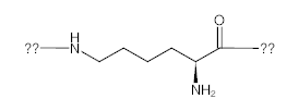 罗恩/Rhawn ε-聚赖氨酸，R012957-5g CAS:28211-04-3，MW＜5000，5g/瓶 售卖规格：1瓶