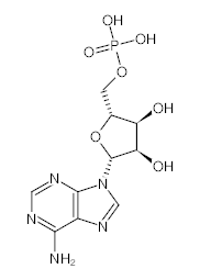 罗恩/Rhawn 5''-腺苷单磷酸一水合物，R008297-25g CAS:61-19-8，98%，25g/瓶 售卖规格：1瓶