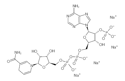 罗恩/Rhawn 还原辅酶Ⅱ四钠盐，R007995-25mg CAS:2646-71-1，98%，25mg/瓶 售卖规格：1瓶