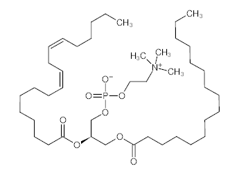 罗恩/Rhawn 卵磷脂，R005467-25g CAS:8002-43-5，90%(来源于大豆)，25g/瓶 售卖规格：1瓶
