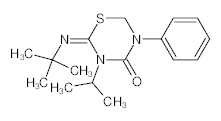 罗恩/Rhawn 噻嗪酮标准溶液，R005087-1ml CAS:69327-76-0，10μg/ml,u=3%，1ml/瓶 售卖规格：1瓶