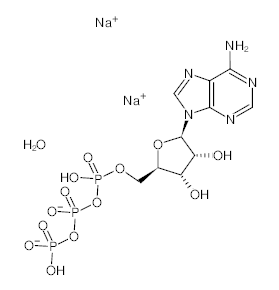 罗恩/Rhawn 腺苷-5''-三磷酸二钠盐,水合物，R003324-1g CAS:34369-07-8，98%，1g/瓶 售卖规格：1瓶