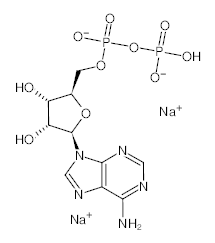 罗恩/Rhawn 腺苷-5''-二磷酸二钠盐，R003060-5g CAS:16178-48-6，98% 生物技术级，5g/瓶 售卖规格：1瓶