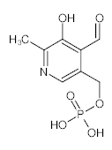 罗恩/Rhawn 磷酸吡哆醛，R002169-5g CAS:54-47-7，98%，5g/瓶 售卖规格：1瓶