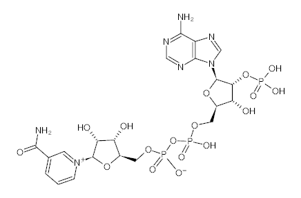 罗恩/Rhawn β-烟酰胺腺嘌呤二核苷酸磷酸(NADP)，R022594-1g CAS:53-59-8，95%，1g/瓶 售卖规格：1瓶