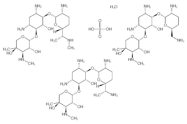 罗恩/Rhawn 硫酸庆大霉素，R016877-1g CAS:1405-41-0，USP级试剂，1g/瓶 售卖规格：1瓶